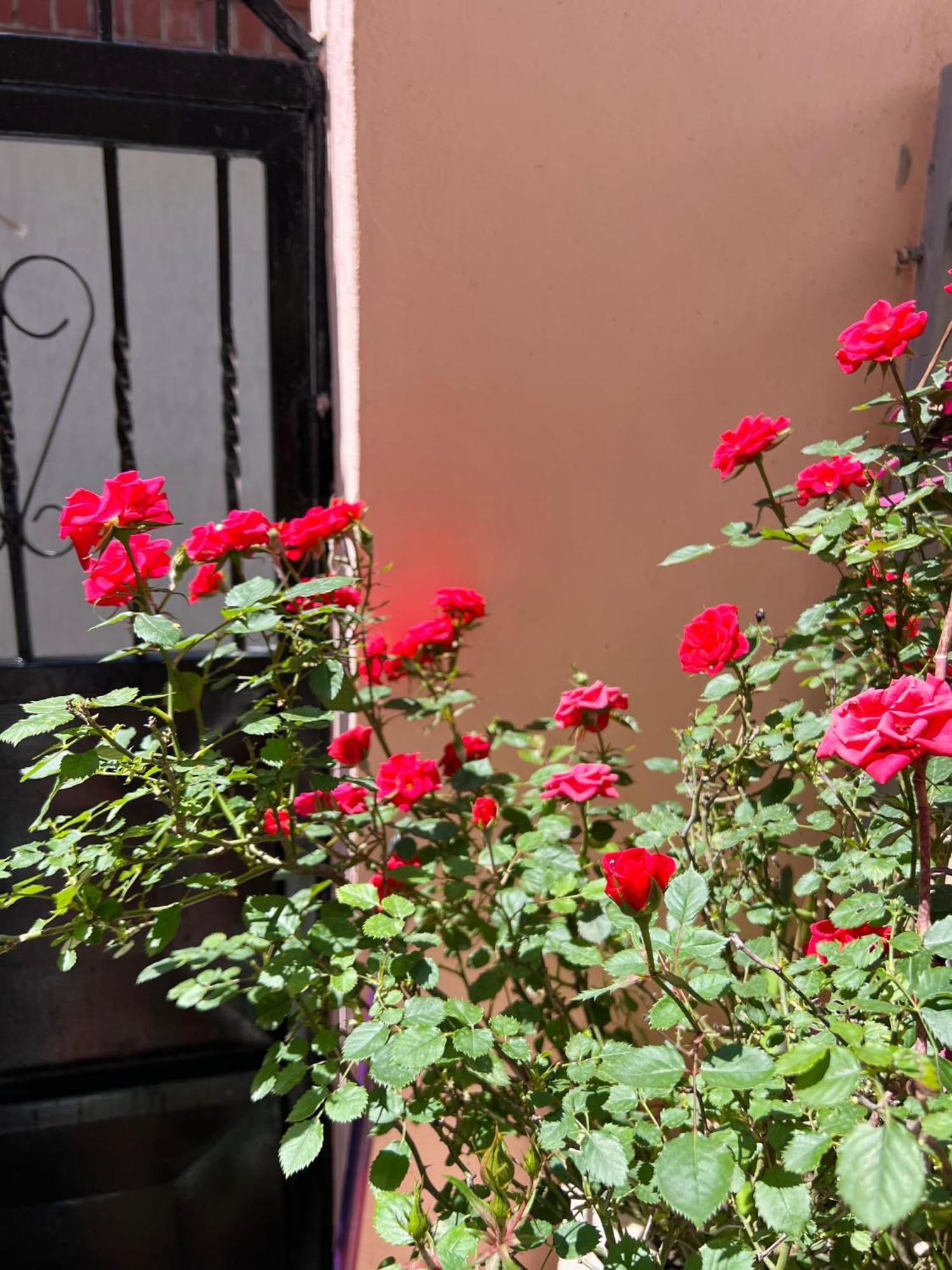 Villa Ensalv Berat - Apartment - Room - Penthouse Rum bild